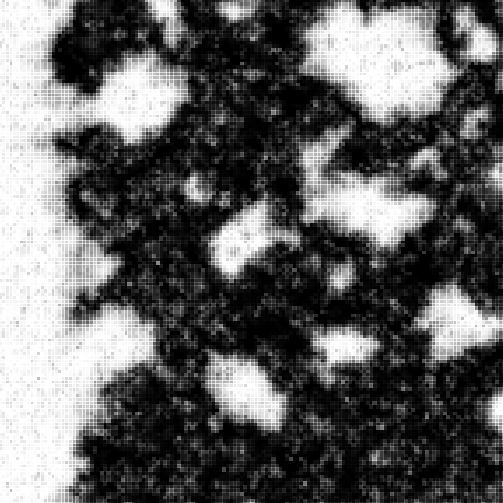 Stochasm artwork: grayscale lattice with coarsening light domains in a dark matrix