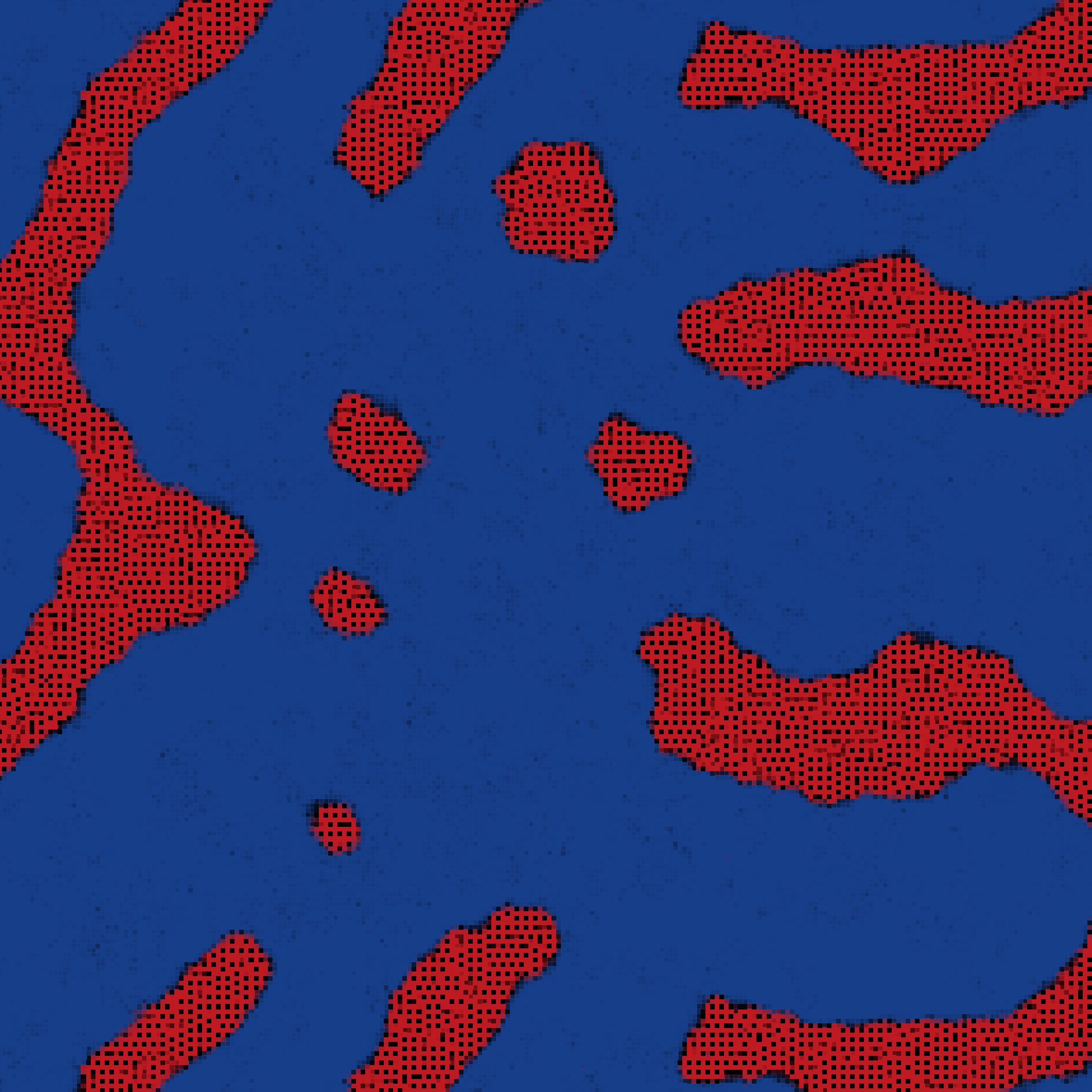 Stochasm artwork: red domains coarsening in a blue field